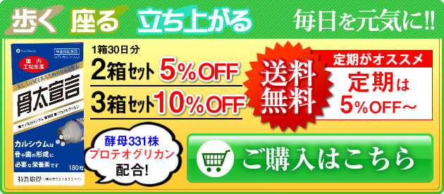 骨太宣言ご購入はこちら