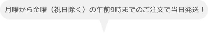 月曜から金曜（祝日除く）の午前9時までのご注文で当日発送！