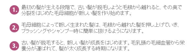 3つの分類