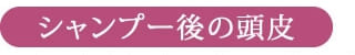 シャンプー後の頭皮