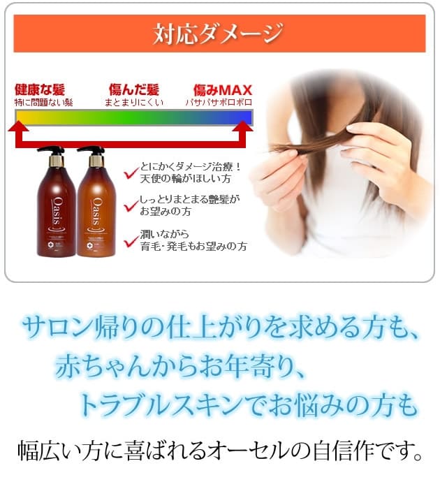 対応ダメージ