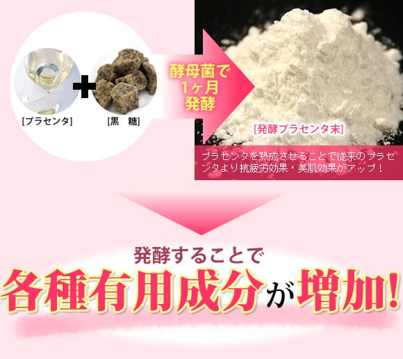 発酵することで各種有用成分が増加!