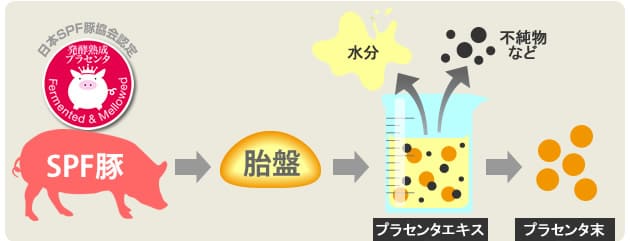 エキスと原末について