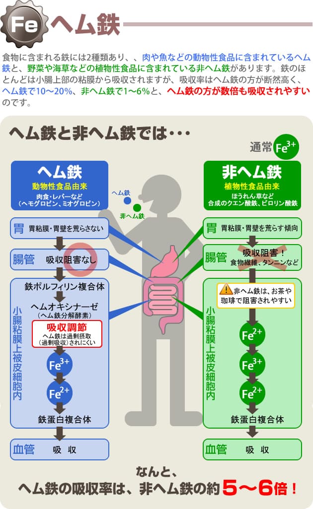 ヘム鉄