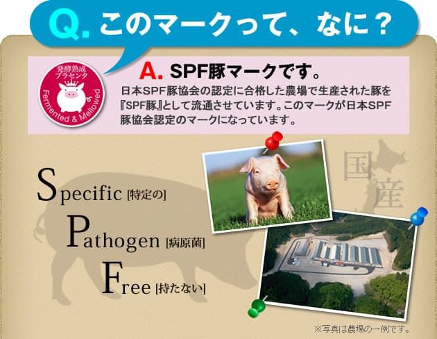 SPF豚マーク