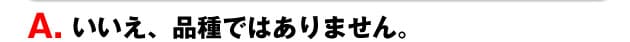 A.いいえ