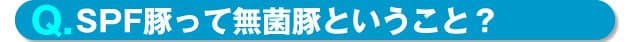 Q.無菌豚のこと?