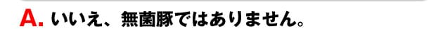 A.いいえ