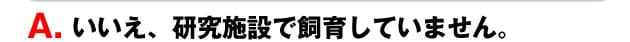 A.研究施設ではありません