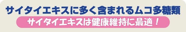 ムコ多糖類