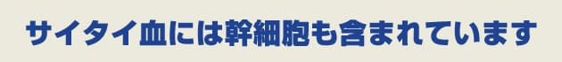 臍帯血