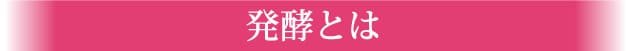 発酵とは