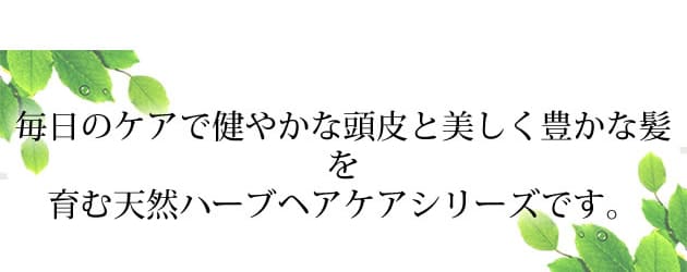 ヘアケアシリーズ