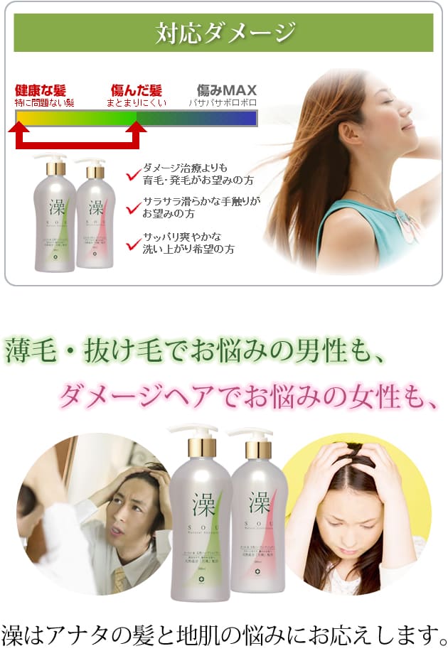 対応ダメージ