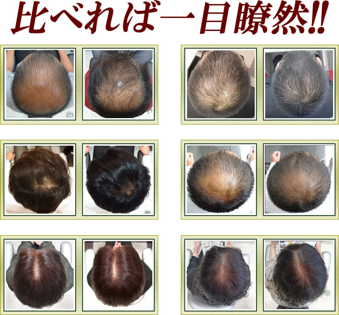 比べれば一目瞭然!!
