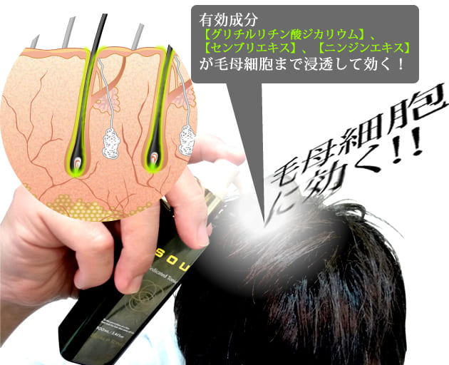 有効成分が毛母細胞まで効く
